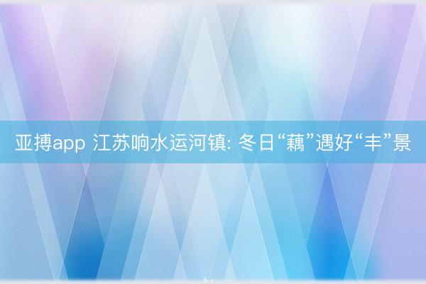 亚搏app 江苏响水运河镇: 冬日“藕”遇好“丰”景