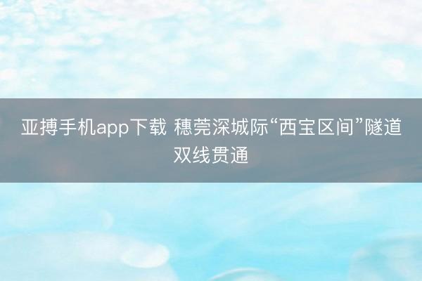 亚搏手机app下载 穗莞深城际“西宝区间”隧道双线贯通