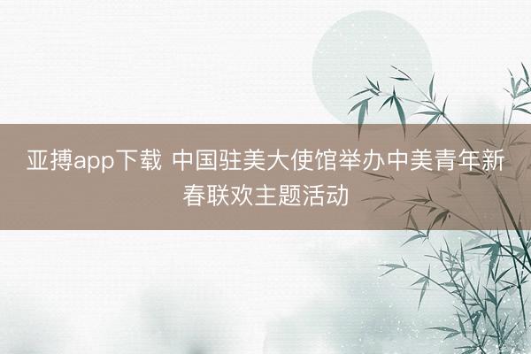 亚搏app下载 中国驻美大使馆举办中美青年新春联欢主题活动