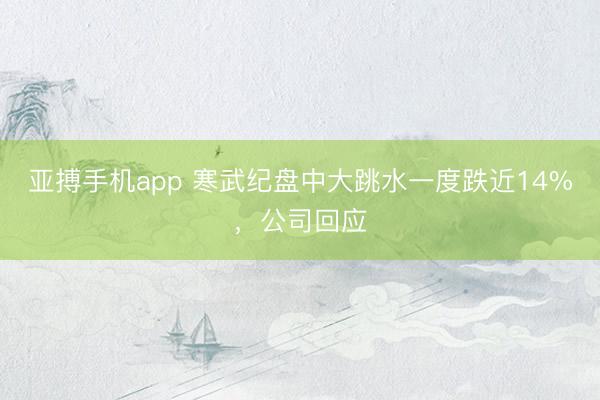 亚搏手机app 寒武纪盘中大跳水一度跌近14%,公司回应