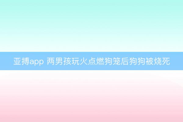 亚搏app 两男孩玩火点燃狗笼后狗狗被烧死