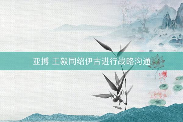 亚搏 王毅同绍伊古进行战略沟通