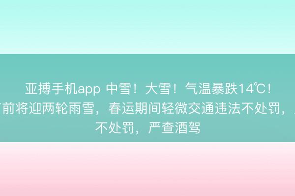 亚搏手机app 中雪！大雪！气温暴跌14℃！河南春节前将迎两轮雨雪，春运期间轻微交通违法不处罚，严查酒驾