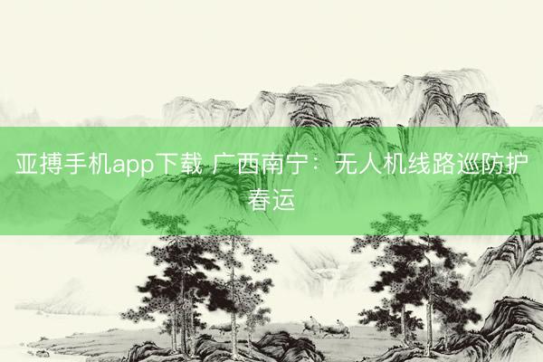 亚搏手机app下载 广西南宁：无人机线路巡防护春运