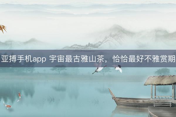 亚搏手机app 宇宙最古雅山茶，恰恰最好不雅赏期