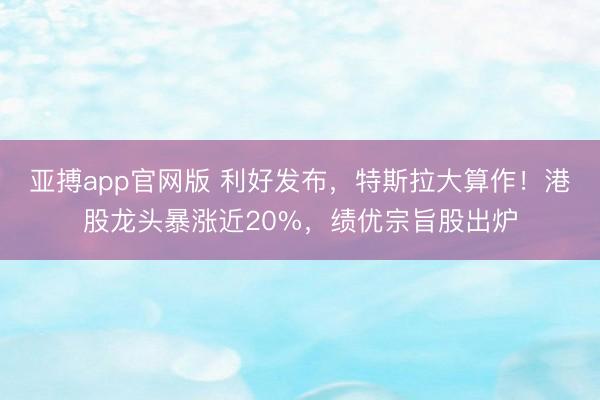 亚搏app官网版 利好发布，特斯拉大算作！港股龙头暴涨近20%，绩优宗旨股出炉