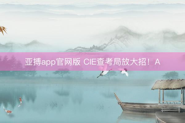 亚搏app官网版 CIE查考局放大招!A