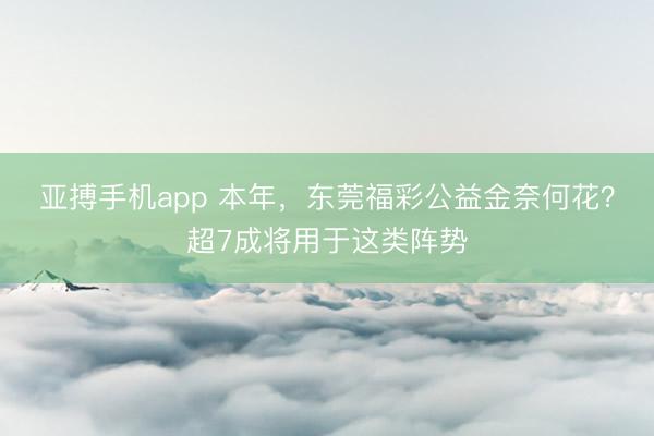 亚搏手机app 本年，东莞福彩公益金奈何花？超7成将用于这类阵势