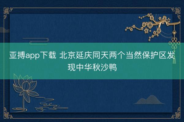 亚搏app下载 北京延庆同天两个当然保护区发现中华秋沙鸭