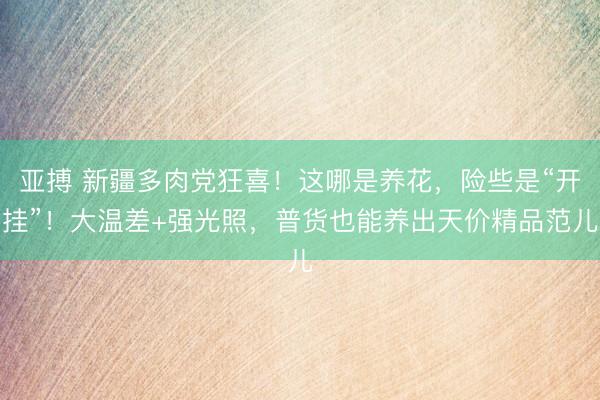 亚搏 新疆多肉党狂喜！这哪是养花，险些是“开挂”！大温差+强光照，普货也能养出天价精品范儿