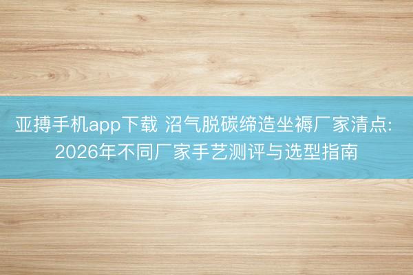 亚搏手机app下载 沼气脱碳缔造坐褥厂家清点: 2026年不同厂家手艺测评与选型指南