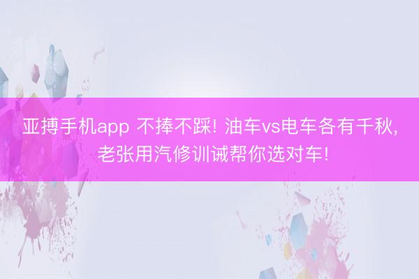 亚搏手机app 不捧不踩! 油车vs电车各有千秋， 老张用汽修训诫帮你选对车!