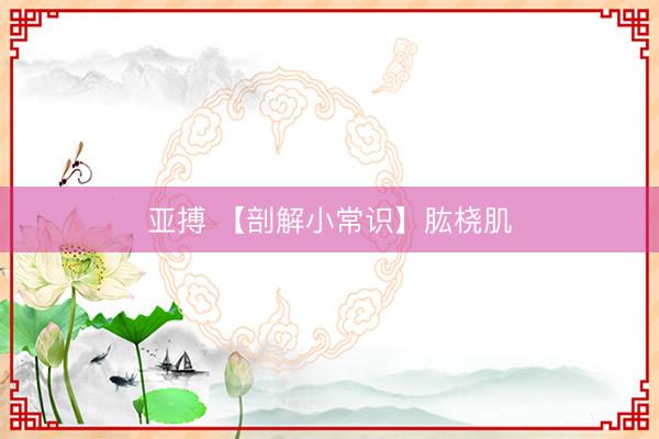 亚搏 【剖解小常识】肱桡肌