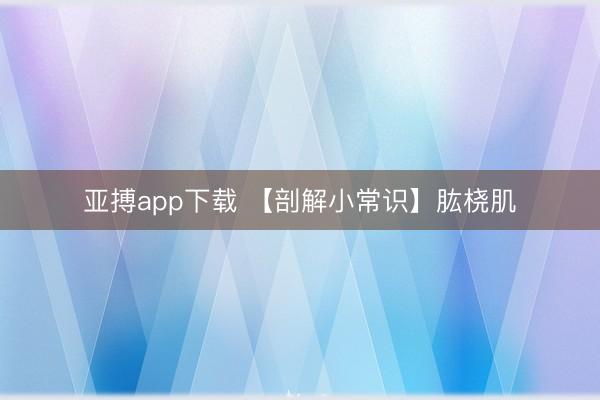 亚搏app下载 【剖解小常识】肱桡肌