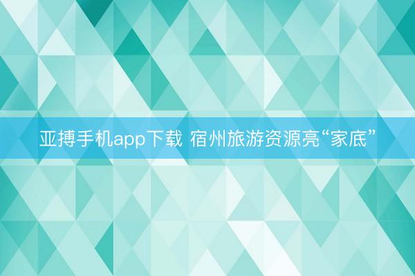 亚搏手机app下载 宿州旅游资源亮“家底”