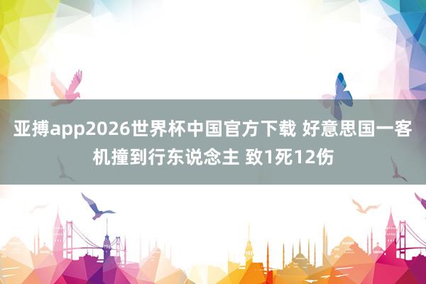 亚搏app2026世界杯中国官方下载 好意思国一客机撞到行东说念主 致1死12伤