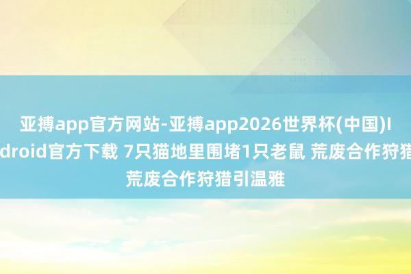 亚搏app官方网站-亚搏app2026世界杯(中国)IOS/Android官方下载 7只猫地里围堵1只老鼠 荒废合作狩猎引温雅