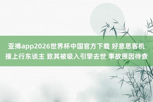 亚搏app2026世界杯中国官方下载 好意思客机撞上行东谈主 致其被吸入引擎去世 事故原因待查