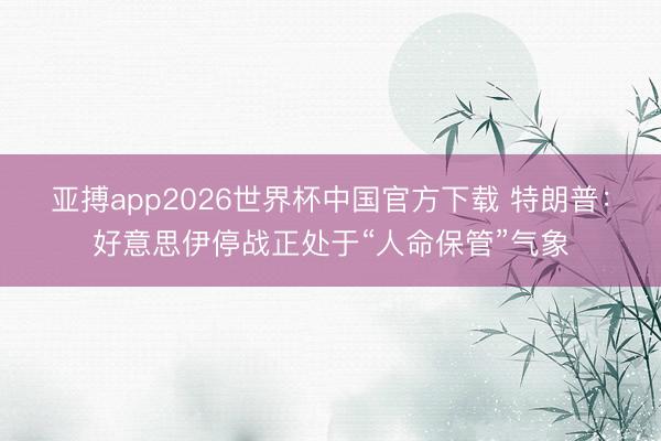 亚搏app2026世界杯中国官方下载 特朗普：好意思伊停战正处于“人命保管”气象