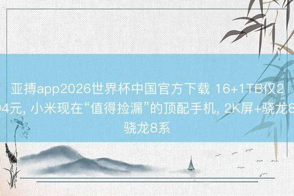 亚搏app2026世界杯中国官方下载 16+1TB仅2294元， 小米现在“值得捡漏”的顶配手机， 2K屏+骁龙8系