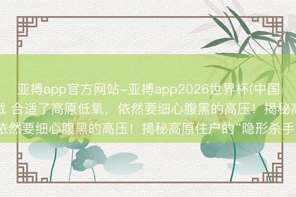 亚搏app官方网站-亚搏app2026世界杯(中国)IOS/Android官方下载 合适了高原低氧，依然要细心腹黑的高压！揭秘高原住户的“隐形杀手”