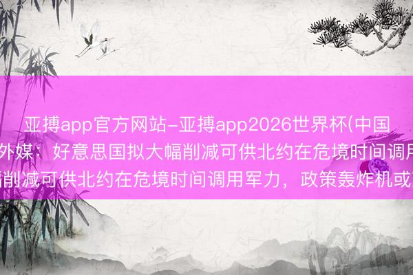 亚搏app官方网站-亚搏app2026世界杯(中国)IOS/Android官方下载 外媒：好意思国拟大幅削减可供北约在危境时间调用军力，政策轰炸机或减半