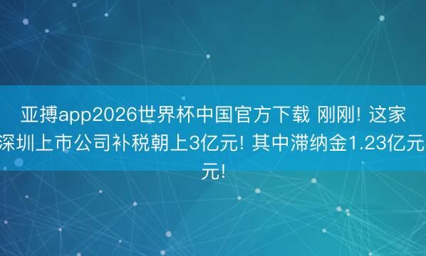 亚搏app2026世界杯中国官方下载 刚刚! 这家深圳上市公司补税朝上3亿元! 其中滞纳金1.23亿元!