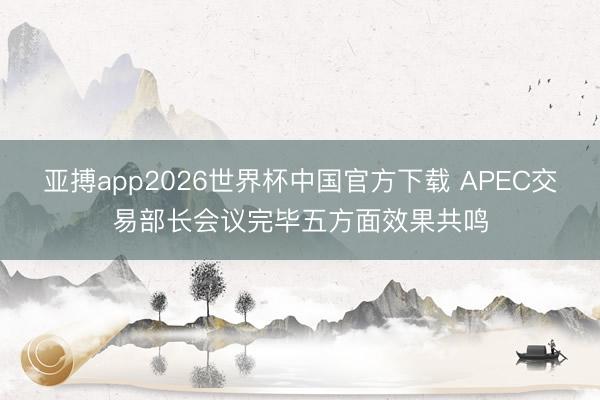 亚搏app2026世界杯中国官方下载 APEC交易部长会议完毕五方面效果共鸣